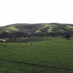 wie in Irland