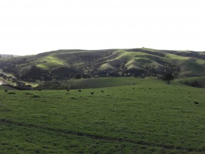 wie in Irland