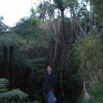 am Ende unseres Bush-Walks