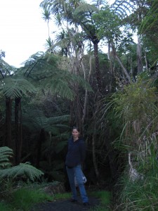 am Ende unseres Bush-Walks