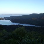 Waitakere Ranges Regional Park beim Piha Beach