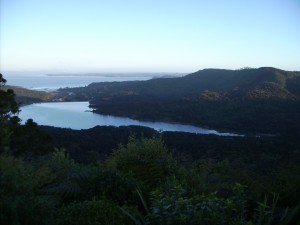 Waitakere Ranges Regional Park beim Piha Beach