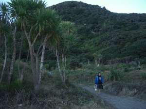Heimweg in der Dämmerung