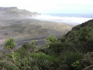 Bethells Beach
