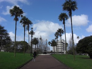 Albert Park, der tägliche Weg zur Uni (die liegt hinter dem Park)